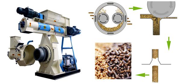 Small-scale Cheap Pellet Mill