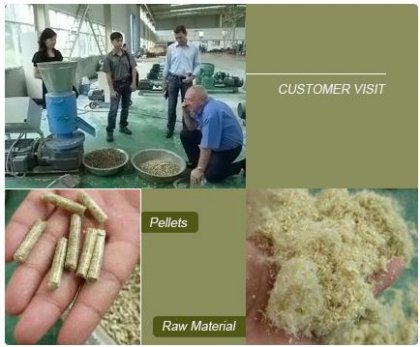 Australian Customer Visited Our Sawdust Pelletizer Factory