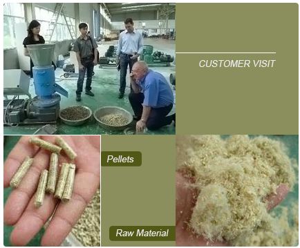 customer visit-sawdust pelletizer factory