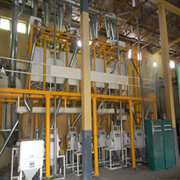 Complete Equipment of Corn Flour