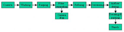 About Cassava Starch
