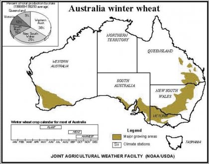 Wheat in Brazil Argentina Australia