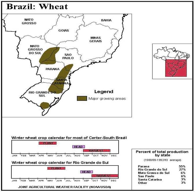 wheat in Brazil