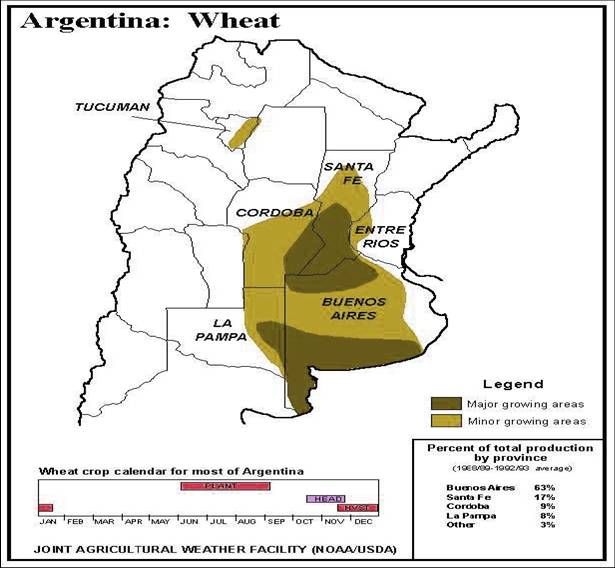 wheat in Argentina