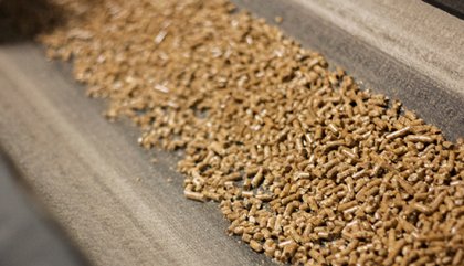 Biomass Pellet Maker-Fines