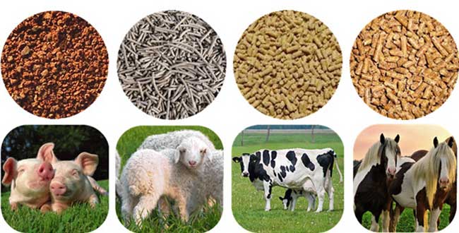 animal feed pellets