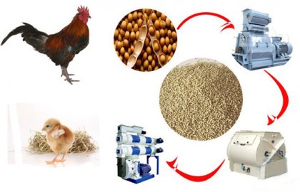 Chicken Feed Mill Production Technical Parameters