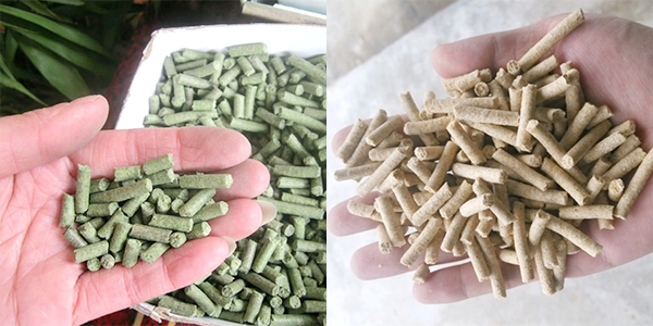 biomass pellets quality