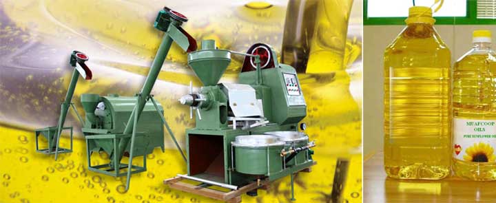 rapeseed oil press plant