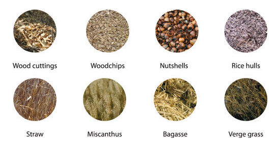 biomass raw materials