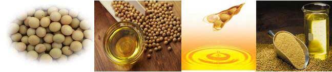 soybean oil