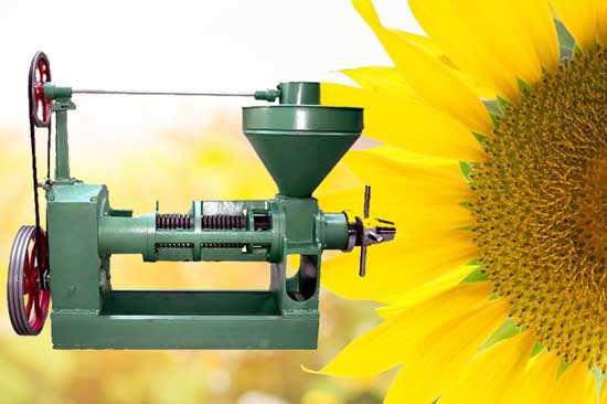 sunflower oil seed press 